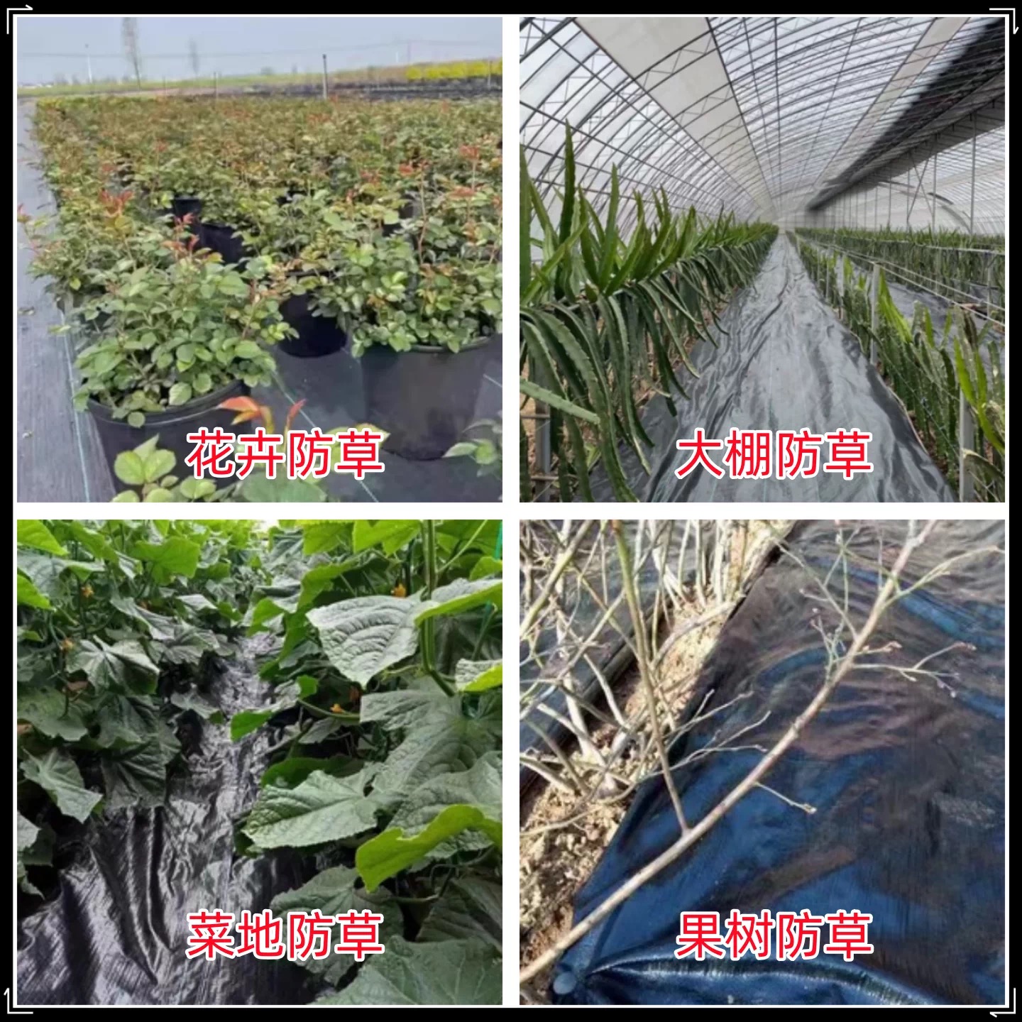 扬州市黑白养殖膜防草布 - 厂家
