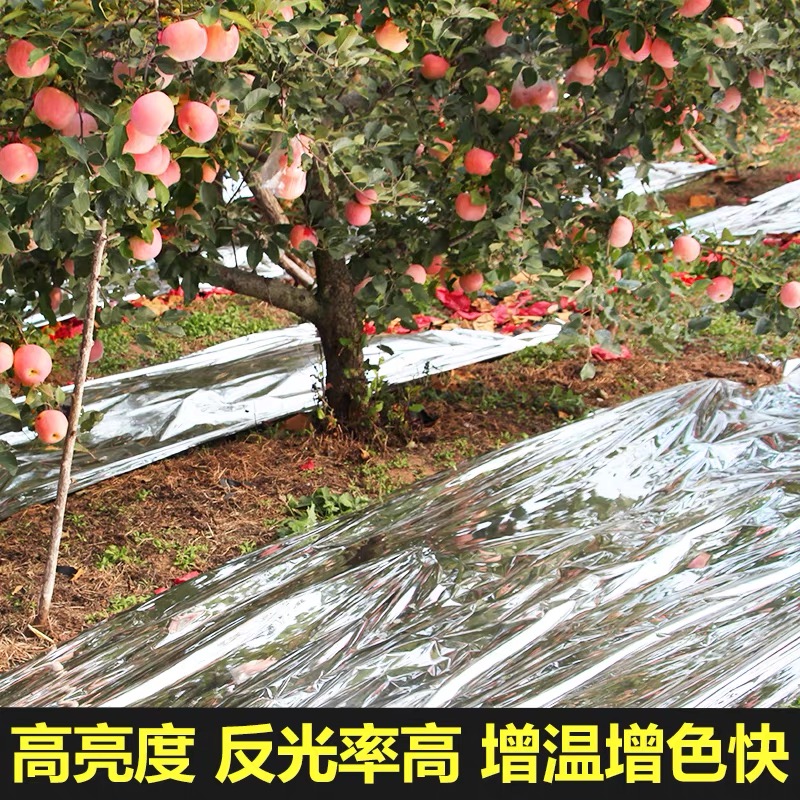 扬州市防草布果树反光膜 - 价格